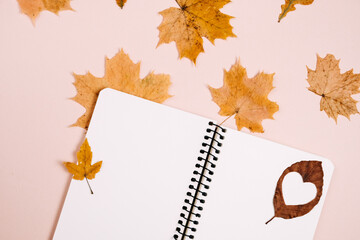 Naklejka na ściany i meble Autumn and winter composition. Notebook and dry autumn leaves maple on pastel pink color background wall in studio. Thanksgiving, fall, halloween concept. Flat lay, top view, copy space