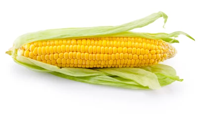 Fotobehang Ear of corn isolated on white background © Hyrma