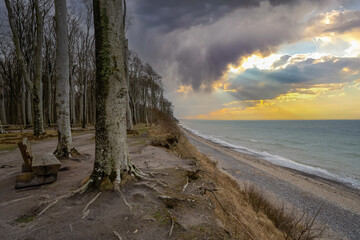 Ostsee Gespensterwald Strandkorb Rostock Warnemünde Strand Bäume Meer Salzwasser Küste Brandung...