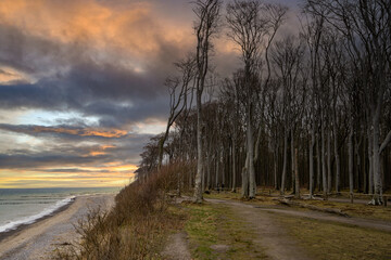 Ostsee Gespensterwald Strandkorb Rostock Warnemünde Strand Bäume Meer Salzwasser Küste Brandung Steilküste Wolken Gezeiten Himmel Wolken Stralsund Sonnenaufgang  Sonnenuntergang  Boot