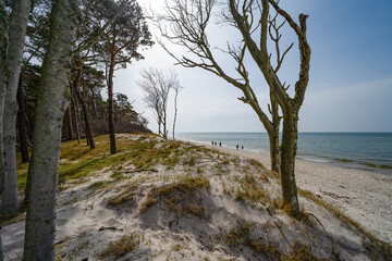 Ostsee Gespensterwald Strandkorb Rostock Warnemünde Strand Bäume Meer Salzwasser Küste Brandung Steilküste Wolken Gezeiten Himmel Wolken Stralsund Sonnenaufgang  Sonnenuntergang  Boot