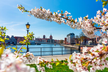 Spring over the Motława River in Gdansk. Poland © Patryk Kosmider