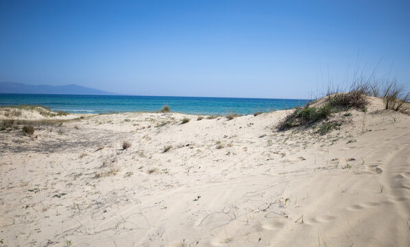 Sand dunes and beach in Ammolofoi Beach in Kavala, Greece