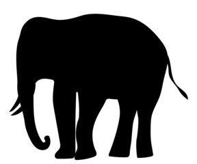 elephant black silhouette, on white background, isolated, vector