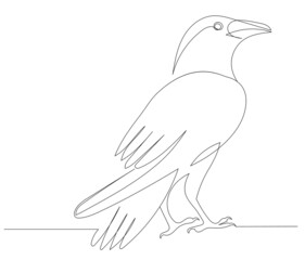 crow drawing by one continuous line, vector