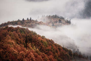 Fototapety  Misty mountain landscape