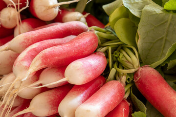 close up of bunches of radishes on a burlap