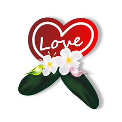 love heart with two birds on leaf and flower graphic resources isolated transparent background png