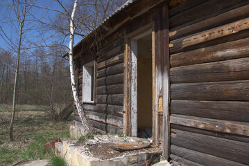 Fototapeta premium Old abandoned wood hut. Wooden log house. Abandoned, dilapidated building.