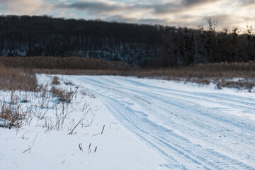 Fototapeta premium Snowy white rural road in countryside. Evening winter landscape with epic heavy clouds sky, reeds and dark trees forest hill. Selected focus with blurred background