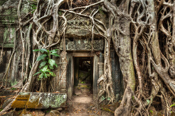 Travel Cambodia concept background - ancient stone door and tree roots, Ta Prohm temple ruins,...