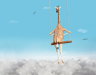 Giraffe swinging on swing bar over blue sky with clouds