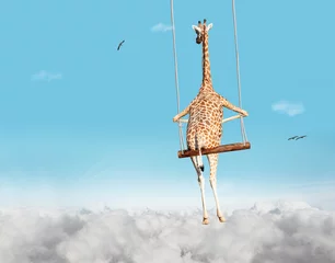 Gordijnen Giraffe swinging on swing bar over blue sky with clouds © Sergey Novikov