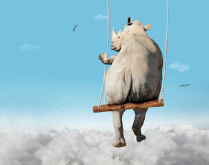 Rhino swinging on swing bar over blue sky with clouds - obrazy, fototapety, plakaty