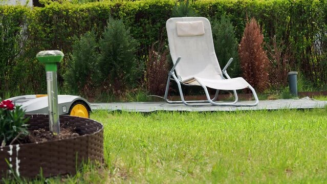 automatic lawn mower robot moves on the grass, 