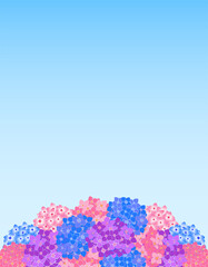 紫陽花の花のシンプルな背景イラスト