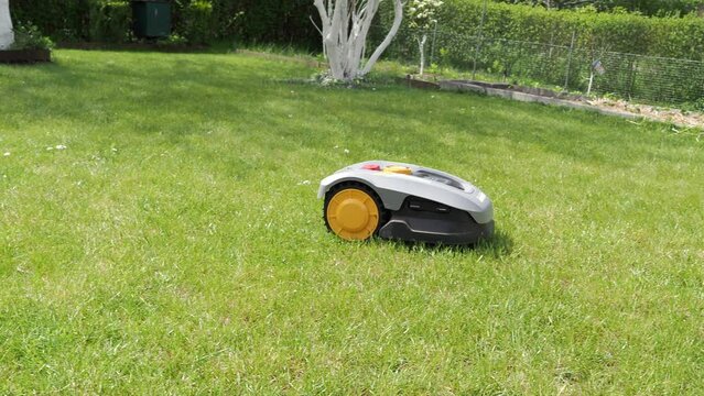 automatic lawn mower robot moves on the grass, 