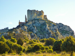 Ruins of the castle of Roquemartine also called castle of Queen Jeanne near Eyguieres in the Alpilles in Provence in France 