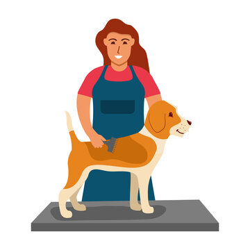 recommend clip art: Professional barber grooming dog.Woman of pet for cutting and brushing fur.Character of cute dog.Hairdresser for animal.Dog haircut.The girl combs the beagle fur.