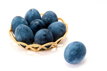Blue painted eggs on a white background
