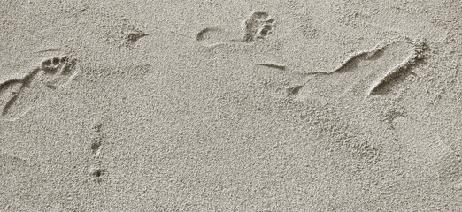 Fototapeta na wymiar Footprints and vehicles on the soft sand beach