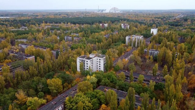 Shooting from a drone of a grown forest on the site of an abandoned Pripyat.