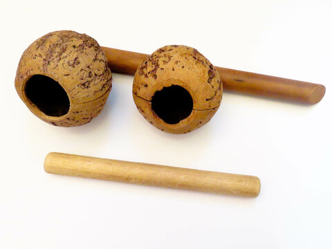 Agogo de castanha do Pará - tradicional instrumento brasileiro usado na capoeira - instrumento artesanal 