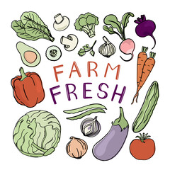 FARM FRESH Ingredients Of Vegetarian Food Menu From Natural Plants For Paleo And Raw Healthy Diet Nutrition Vegetable Clip Art Vector Illustration Set For Print