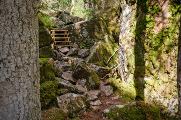 Skrole Hie gorge in Småland Sweden