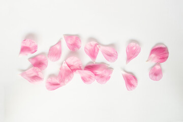 ラナンキュラスの花びら