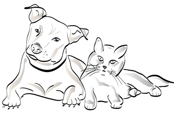 Dog and Cat as friends 