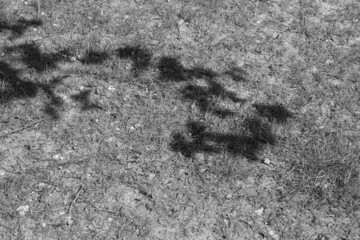 Ombres abstraites en noir et blanc