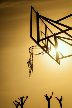 Old Transparent Basketball Backboard In A Park With Basket Hoop And Broken Net Hanging From The Hoop Against Sunset Sky. Sports And Recreation.