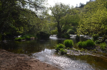 bord de rivière