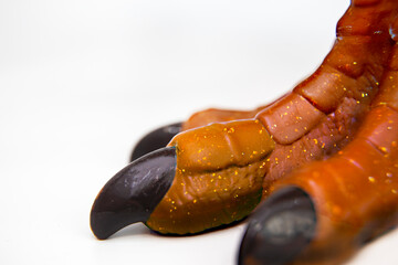 Close-up dinosaur's feet, claws, reptiles