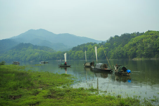 Zhejiang lishui lotus scenic areas
