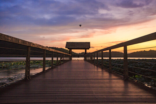 a bridge in Dongqian lake wetland of mashan under sunset