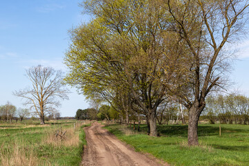  Najpiękniejsza majowa zieleń , Podlasie, Polska