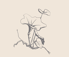 Nature floral garden plant, hand drawn art. Flower vector illustration.
