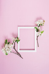White blank frame with copy space lies on a pink background surrounded by blossoming branches of an apple tree. Spring postcard concept. Top view, flat lay
