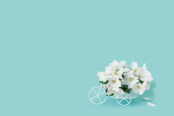 A bicycle toy with white flowers on a blue background. The concept of celebration, banner. Copy space. The beginning of spring and the holiday