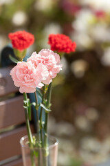 Obraz na płótnie Canvas Four carnations in a vase. sunny day