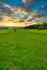 Wiesen Landschaft im Abendrot
