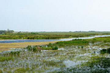 Réserve de Beauguillot, Parc Naturel Régional des Marais du Cotentin et du Bessin, 50, Manche