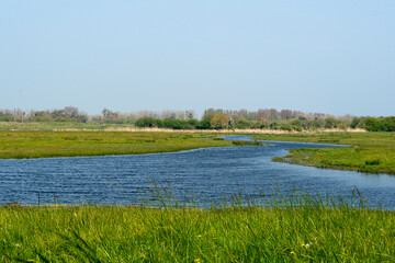 Réserve de Beauguillot, Parc Naturel Régional des Marais du Cotentin et du Bessin, 50, Manche