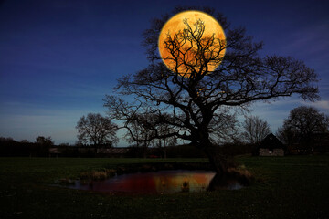 Manchmal kommt der Mond der Erde ganz nah...