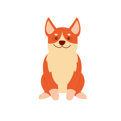 Front view of sitting corgi puppy. Funny cute dog friend, domestic family dog vector illustration