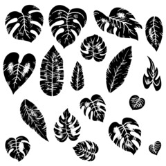 Set of vintage ink stamp of tropical exotic leaves of different types. Jungle plants. Hibiscus, monstera and palm leaves. Grunge black botanical vector illustration isolated on white background.