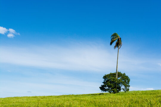 Paisagem Do Polo Cuesta