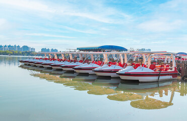Fototapeta na wymiar Rows of yachts on the lake